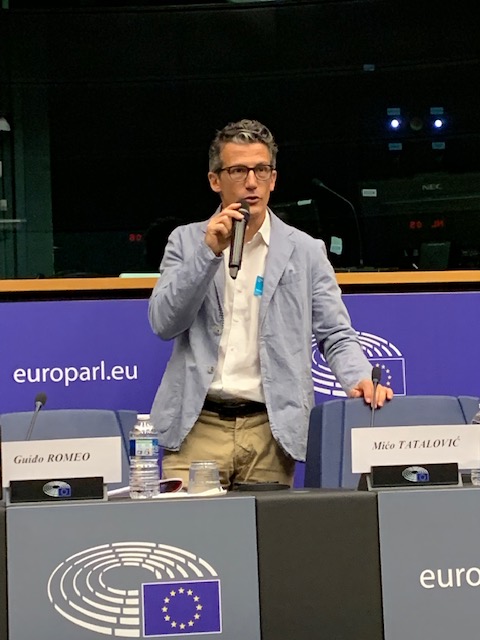 Guido Romeo Summer school 2019 ESMH