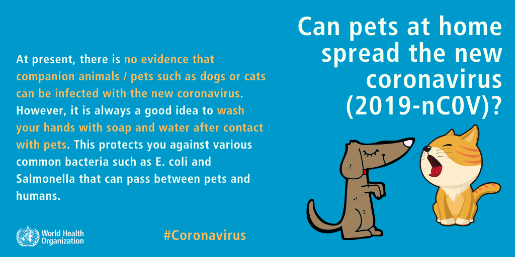 Can pets at home spread the new coronavirus (2019-nCoV)?