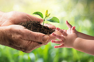 Environmental sustainability press review picture
