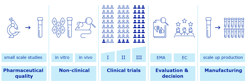 Overview of vaccine development and approval stages
