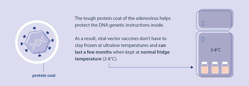 Infographic - Viral vector vaccines against COVID-19: how they work