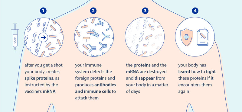 How mRNA vaccines protect you against COVID-19 © European Union, 2021