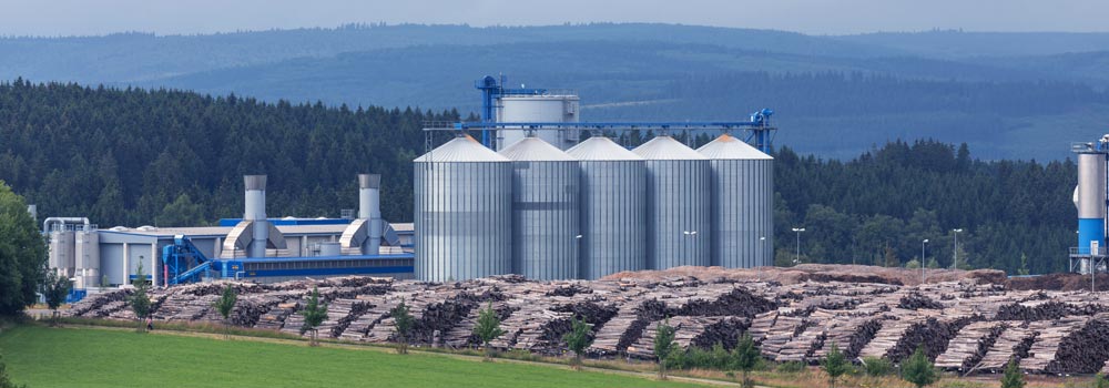 Biomass cogeneration plant