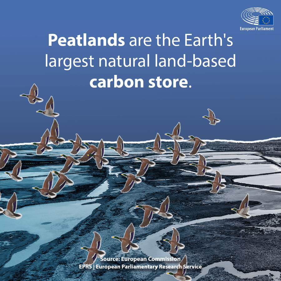 Eu communication on peatlands part 1