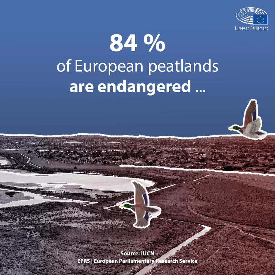 Eu communication on peatlands part 2