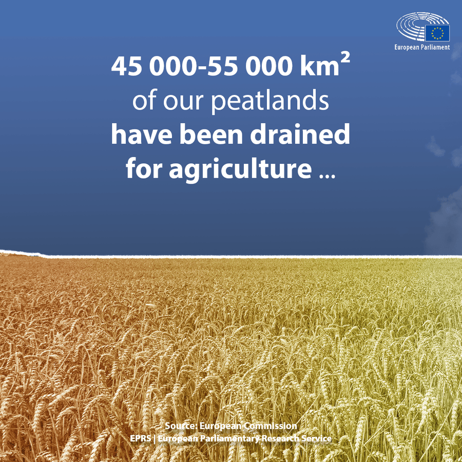 Eu communication on peatlands part 5