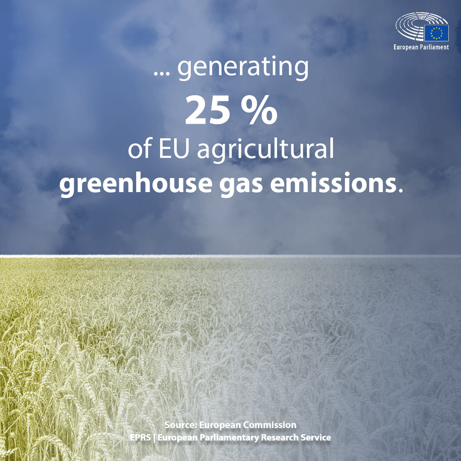 Eu communication on peatlands part 6