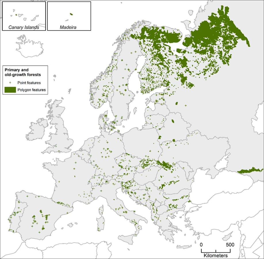 figure about primary forests