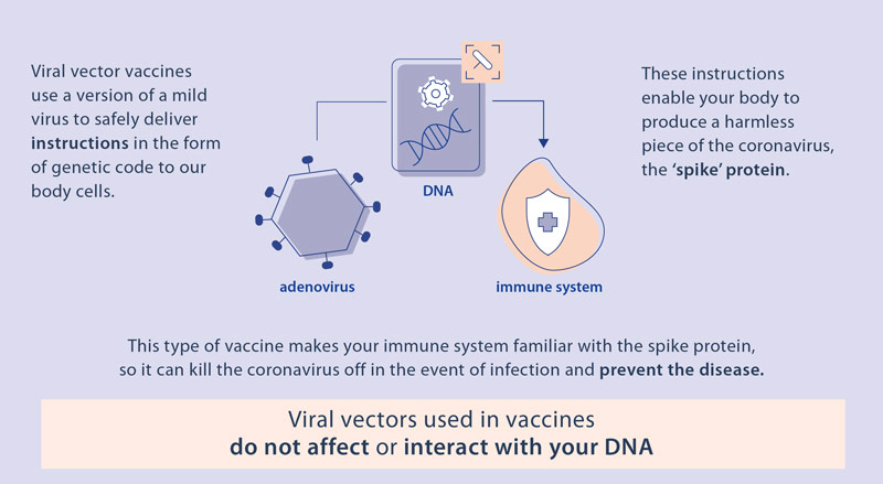 Infographic - Viral vector vaccines against COVID-19: how they work