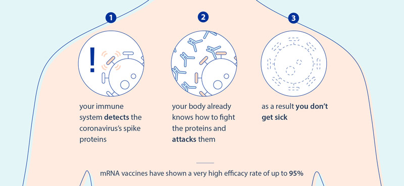 How mRNA vaccines protect you against COVID-19