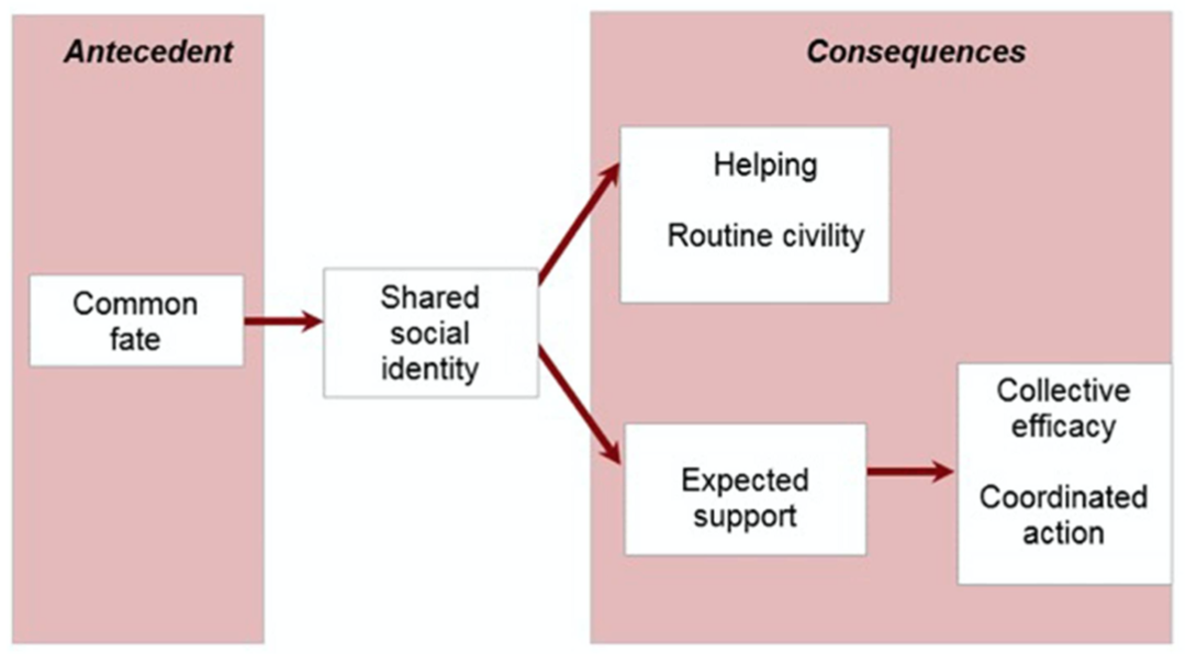 Social identity model